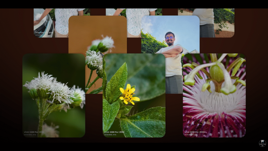 vivo x300 pro, vivo x300 pro camera